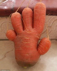 27個外貌驚人的蔬菜水果 讓你笑噴 組圖