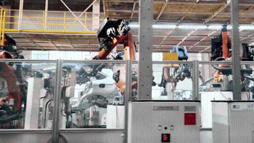 三胎家庭買考斯特去了 一胎二胎的先來臺歐拉白貓過渡一下