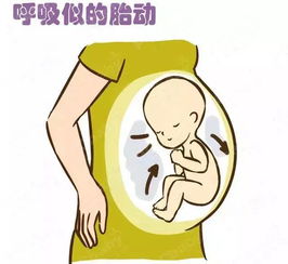 如何通過胎動猜透胎寶寶的小心思 月安馨小課堂