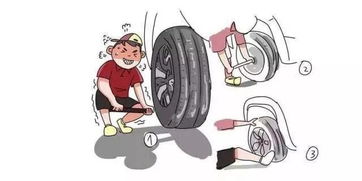 今天小編教你如何成為汽車小達人