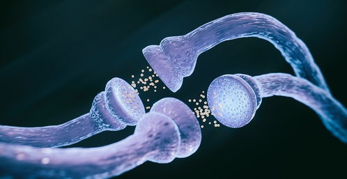 干細胞,為治療漸凍癥提供了新途徑