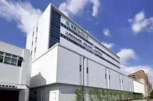 住友橡膠半年?duì)I收244億 輪胎巨頭的‘胎匠’精神與市場(chǎng)突破