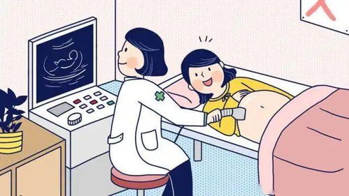 NT檢查 胎寶寶排畸的第一道防線，絕不能延遲